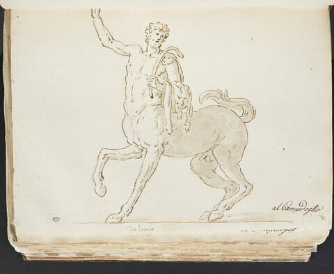 Le Centaure Furietti, barbu et tourné vers la gauche, image 1/2