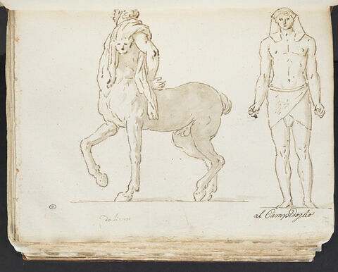 Le Centaure Furietti âgé, vu de trois quarts tourné vers la gauche..., image 1/2