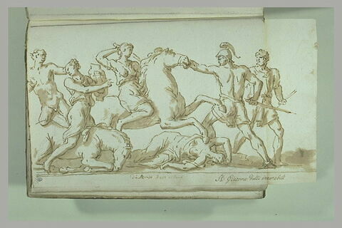 Le Combat des Amazones contre Achille et Ulysse, image 1/1
