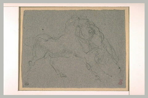 Un cheval au galop arrêté par un homme qui le tient au museau, image 1/1