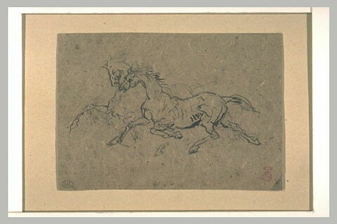 Deux chevaux au trot vers la gauche, image 1/1