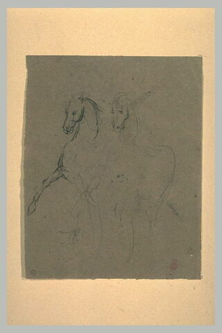Deux croquis d'un cheval dressé, en liberté, image 1/1