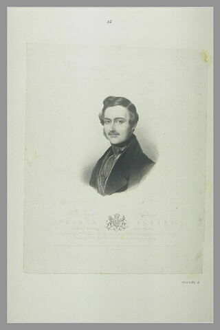 Portrait du prince Albert, image 2/2