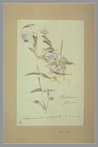 Jeudi (1880), Bellevue, à Isabelle Lemonnier, image 1/1
