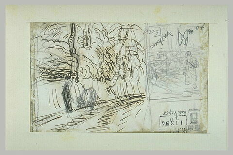 Chemin bordé d'arbres et femme dans un champ, image 2/2