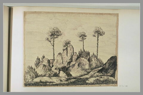 Rochers et quatre pins : 'Rocher d'Avon 1er 9bre 1849', image 1/1