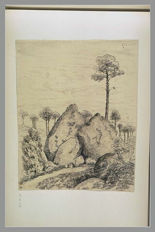 Pins au milieu de rochers : 'Rocher d'Avon 1er 9bre 1849', image 1/1