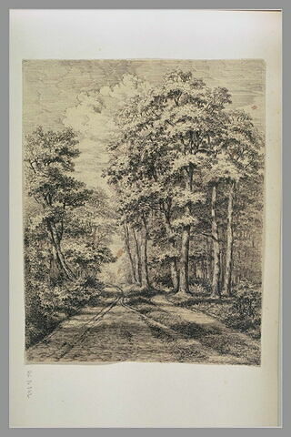 Route en forêt : 'Mont St Père 1849'