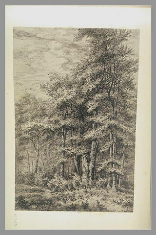 Forêt : 'Mont St Père 6 9bre 1855', image 1/1