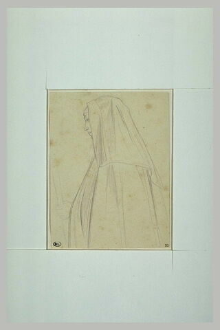 Femme voilée et avec une cape, en buste, image 1/1