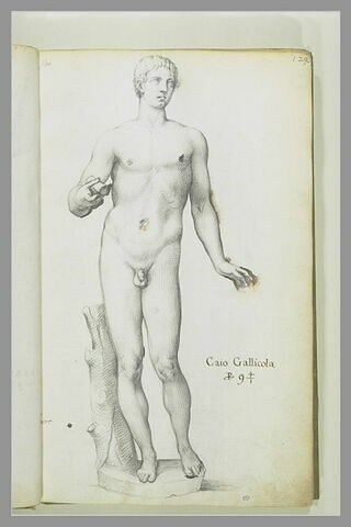 Statue de 'CAIO GALLICOLA', image 2/3