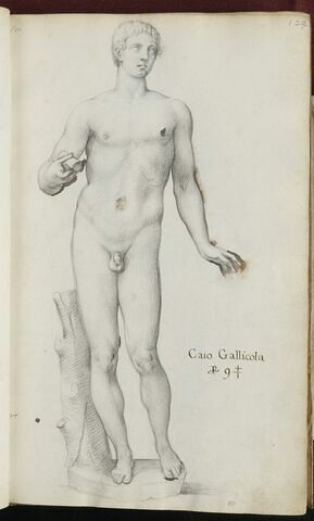 Statue de 'CAIO GALLICOLA', image 3/3