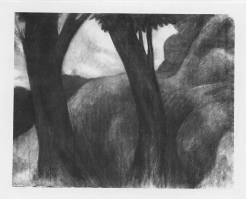 Paysage sombre : deux arbres se détachent sur une colline