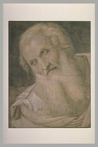 Tête de vieillard à longue barbe : étude pour saint  Joseph d'Arimathie, image 1/1