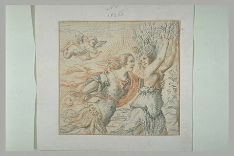 Daphné, attrapée par Apollon, se changeant en laurier, image 1/1