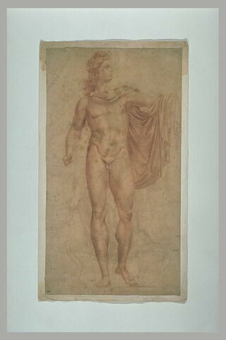 L'Apollon du Belvedere, vu de face, image 1/1