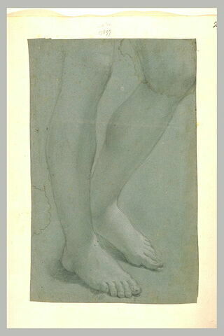 Les deux jambes nues d'une figure, image 1/1