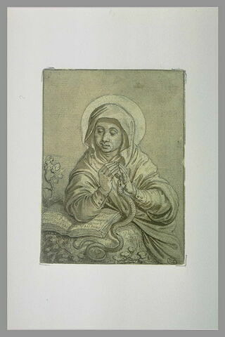 Sainte assise devant un livre, la main gauche mordue par un serpent, image 1/1