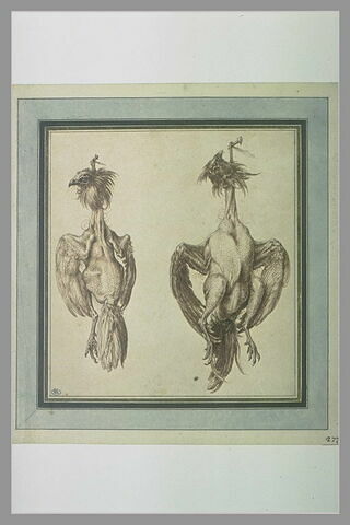 Deux poules plumées, pendues chacune à un clou, image 1/1