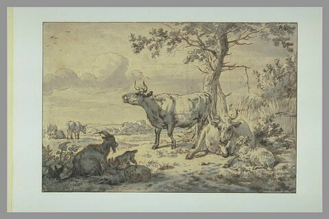 Vaches, chèvres et moutons se reposant à l'ombre d'un taillis, image 1/1