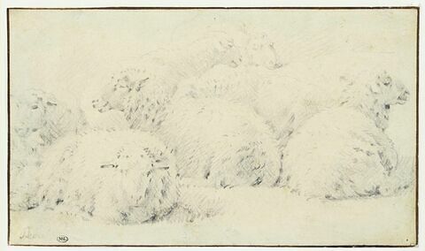 Etude de sept moutons couchés, image 1/2