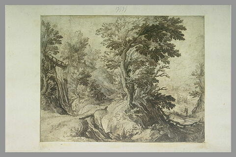 Flanc droit d'une colline boisée avec un sentier et un torrent, image 1/1