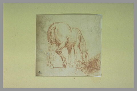 Un cheval mangeant du foin, image 1/1