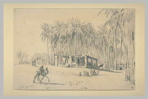 Vue prise au Caire ; forêt de palmiers, image 1/1