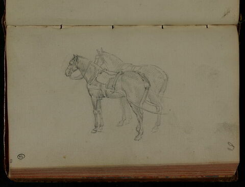 Deux chevaux de poste, vus de profil, image 1/1