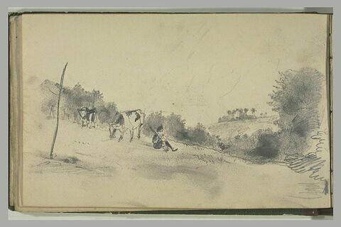 Paysan gardant des vaches dans un champ en pente, et arbres dans le fond, image 1/2
