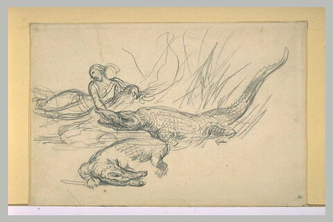 Femme mordue par un crocodile, image 1/1