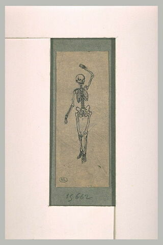 Squelette debout, de face, levant le bras gauche, image 1/1