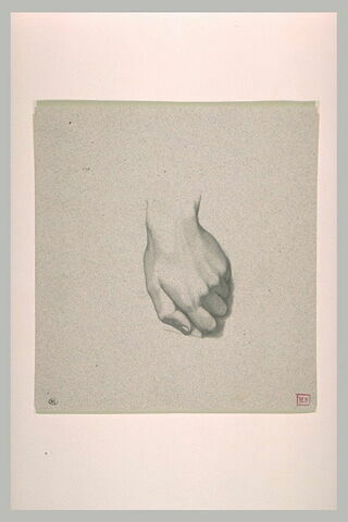 Etude d'une main gauche au poing fermé, image 1/1