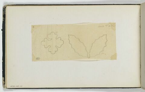 Etude d'un motif quadrilobé et d'un motif de feuilles dentelées, image 1/2