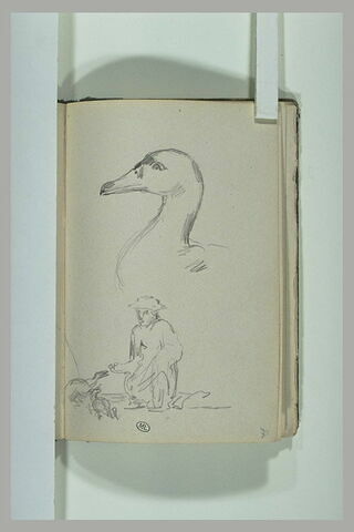 Tête de canard ; figure nourrissant des canards, image 1/1