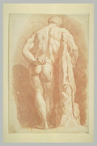 Hercule Farnèse, vu de dos, image 1/1