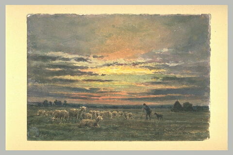 Paysan gardant un troupeau de moutons, au soleil couchant, image 1/1