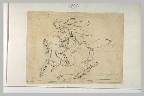 Cavalier sur son cheval galopant, image 1/1