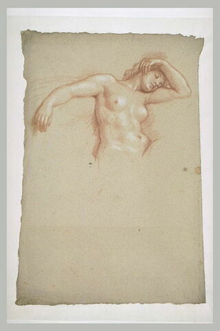 Femme nue, à mi-corps, la tête reposant sur son bras levé, image 1/1