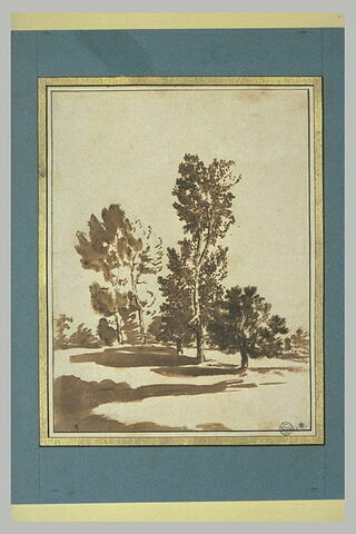 Etude de paysage. Cinq arbres dans une prairie, image 2/2