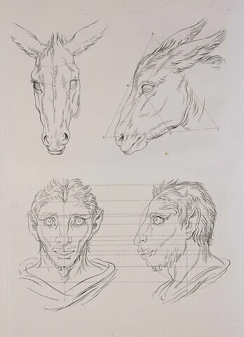 Deux têtes d'âne et deux têtes d'homme en relation avec l'âne