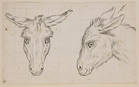 Deux têtes d'âne