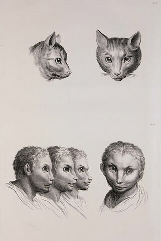 Deux têtes de chat et quatre têtes d'hommes en relation avec le chat., image 1/2