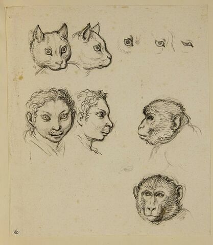 Deux têtes de singe, deux têtes de chat et deux têtes d'homme, image 1/2