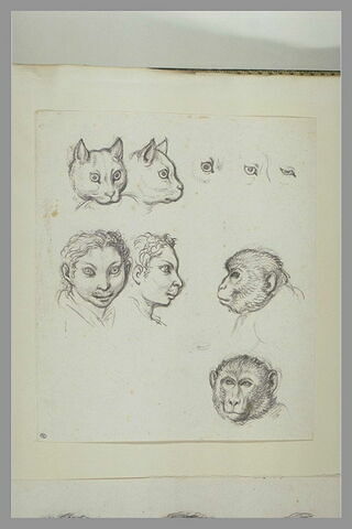 Deux têtes de singe, deux têtes de chat et deux têtes d'homme, image 2/2