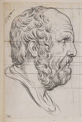 Tête de philosophe antique dite de Diogène, de profil