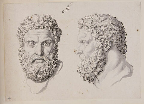 Deux têtes d'Hercule