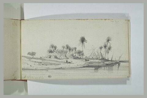 Paysage des abords du Nil, en Haute Egypte