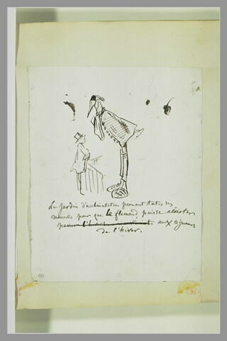 Caricature : homme devant un flamand habillé, image 1/1