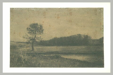 Paysage au crépuscule : au premier plan, arbre près d'un ruisseau, image 1/1